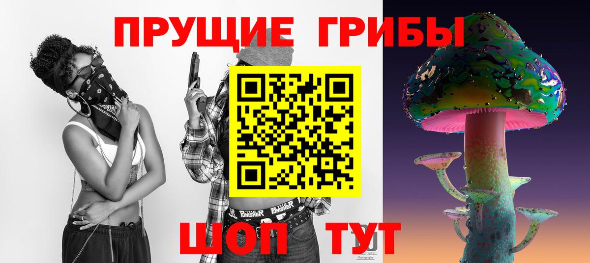 Псилоцибиновые грибы Psilocybe Буйнакск