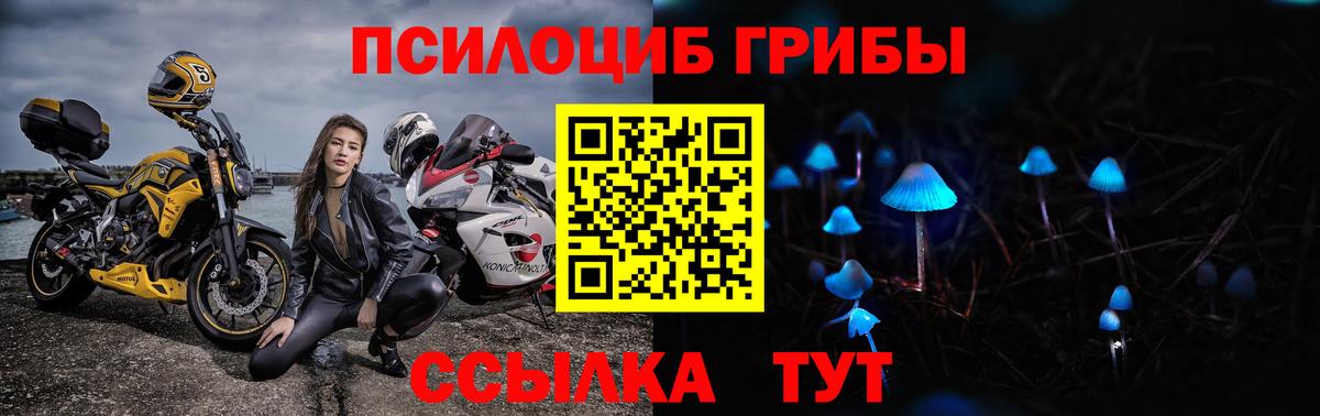 Псилоцибиновые грибы мухоморы  Псилоцибиновые грибы MAGIC MUSHROOMS  как найти закладки  Вход с VPN  Буйнакск 